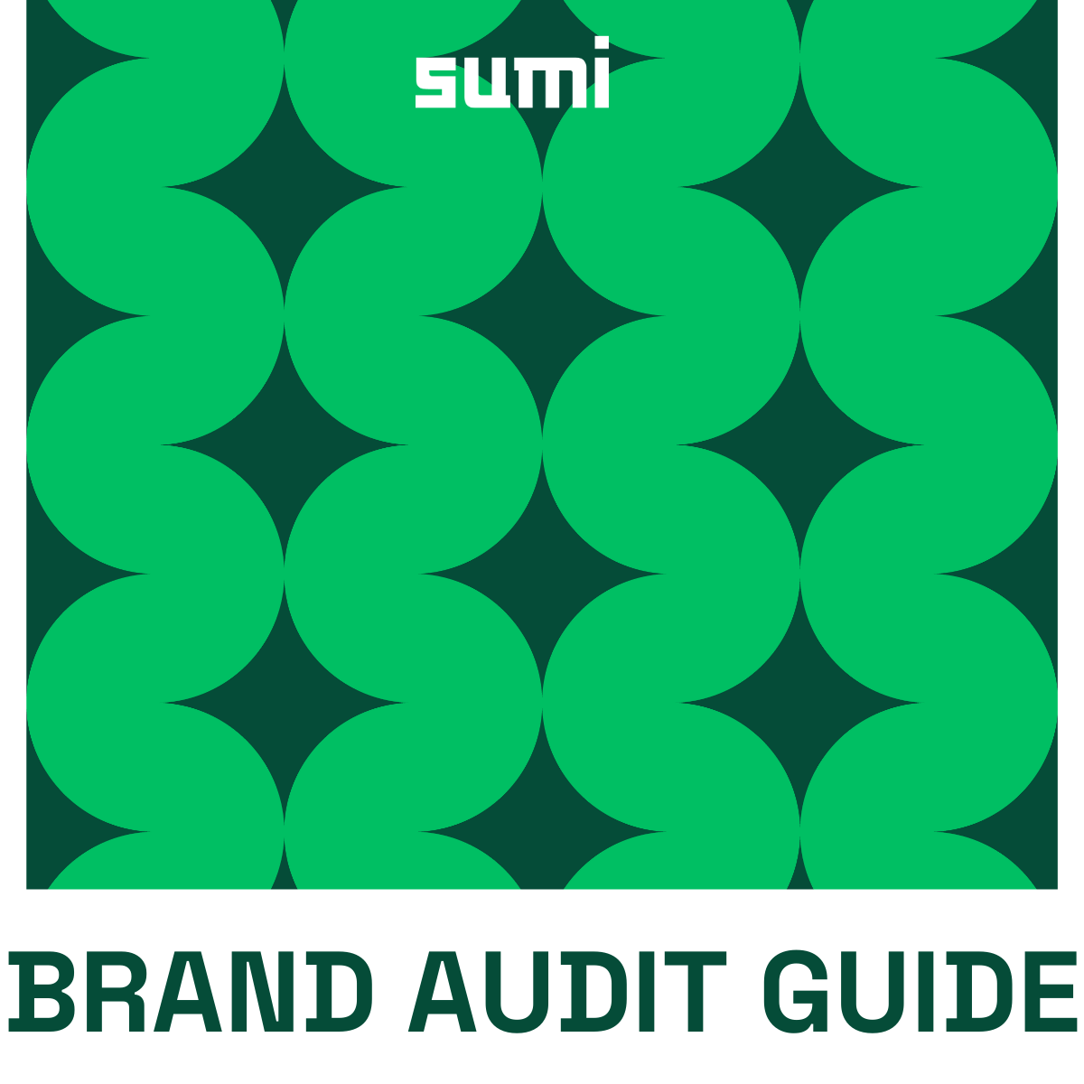 Brand Audit Guide & Checklist